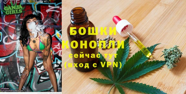 тгк Дмитриев