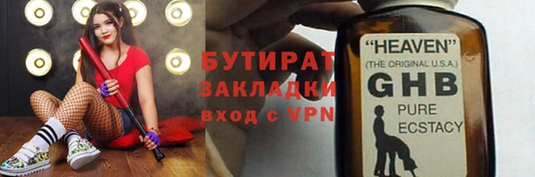 тгк Дмитриев