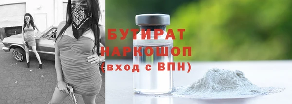 тгк Дмитриев