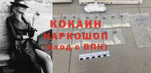 тгк Дмитриев