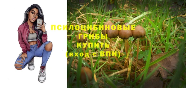 амф Дмитровск