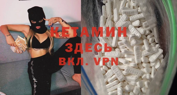тгк Дмитриев