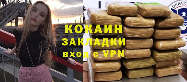 тгк Дмитриев