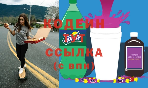 тгк Дмитриев