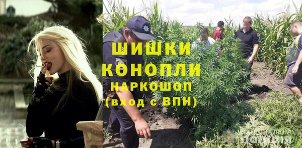 тгк Дмитриев