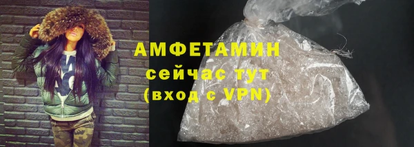 тгк Дмитриев