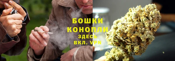 тгк Дмитриев